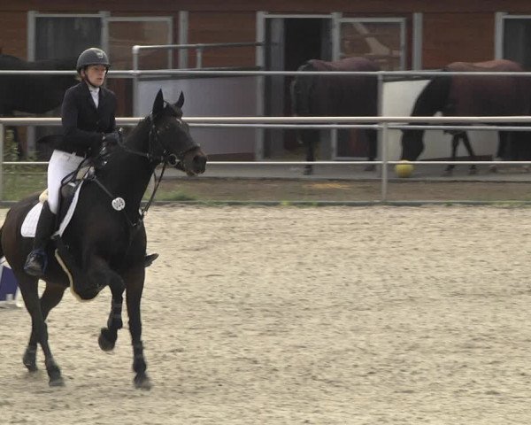 Reitturnier Achern 2020