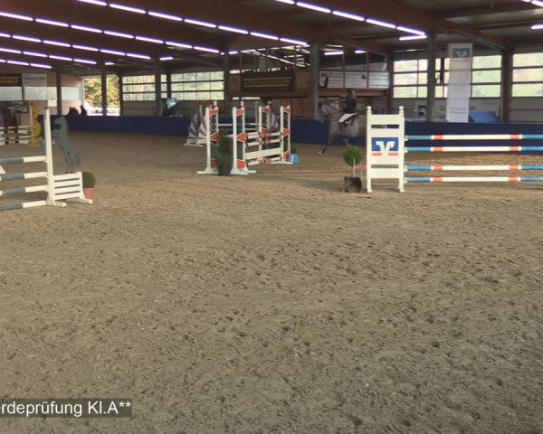 Reitturnier Isterberg 2020