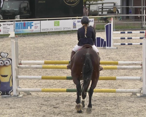 Reitturnier Achern 2020