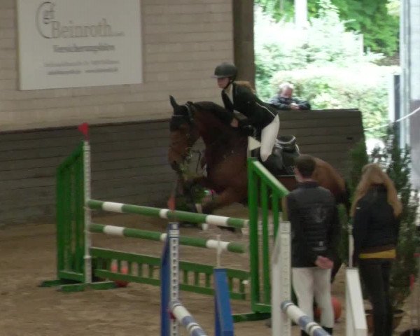 Reitturnier Heilbronn 2020
