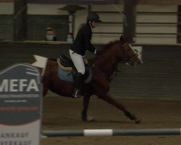 Reitturnier Heilbronn 2020