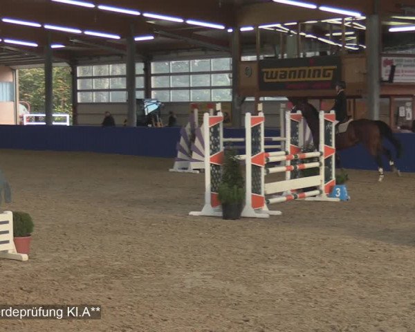 Reitturnier Isterberg 2020
