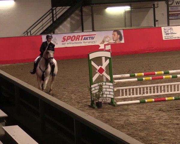 Reitturnier Salzkotten 2020