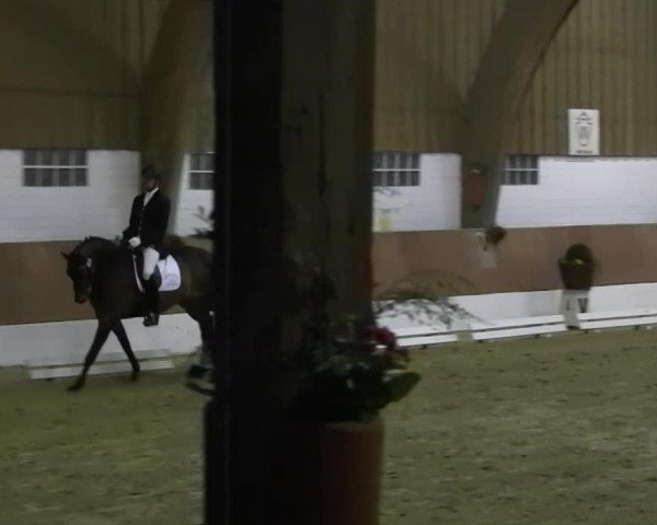 dressage horse Le Louboutin (Westphalian, 2008, from Laudabilis)