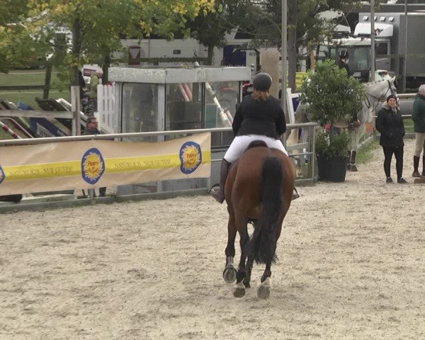 Reitturnier Achern 2020