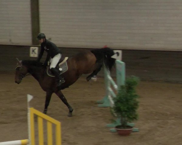 Reitturnier Heilbronn 2020
