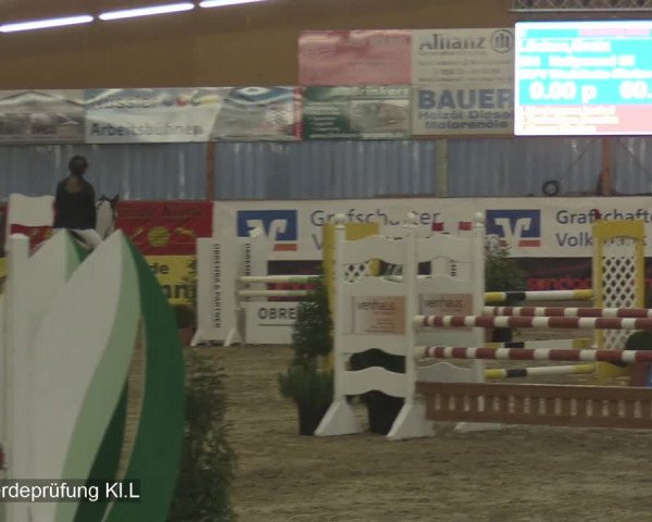 Reitturnier Isterberg 2020
