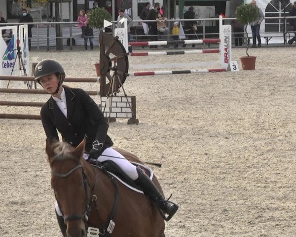 Reitturnier Achern 2020