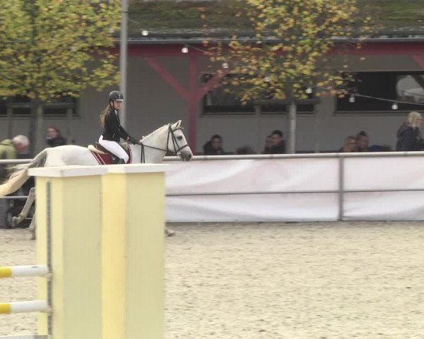 Reitturnier Achern 2020