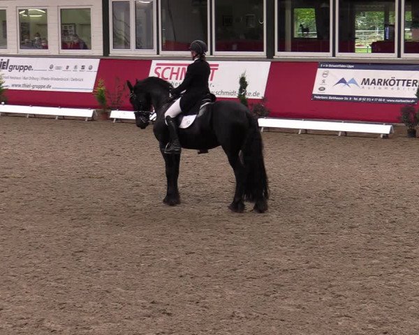 Reitturnier Salzkotten 2020