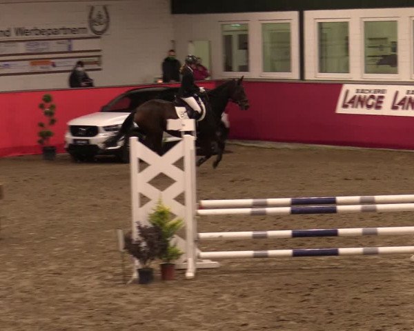 Reitturnier Salzkotten 2020