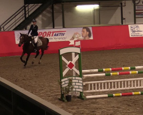 Reitturnier Salzkotten 2020