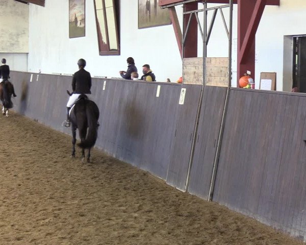 Reitturnier St. Peter Ording 2020