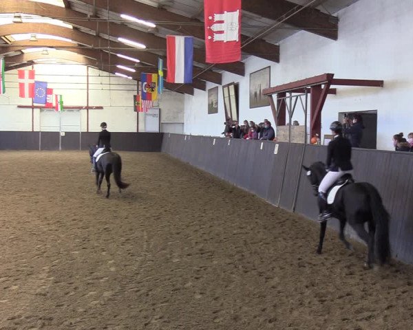 Reitturnier St. Peter Ording 2020
