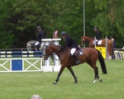 jumper Chiclana H (Württemberger, 2009, from Colman)