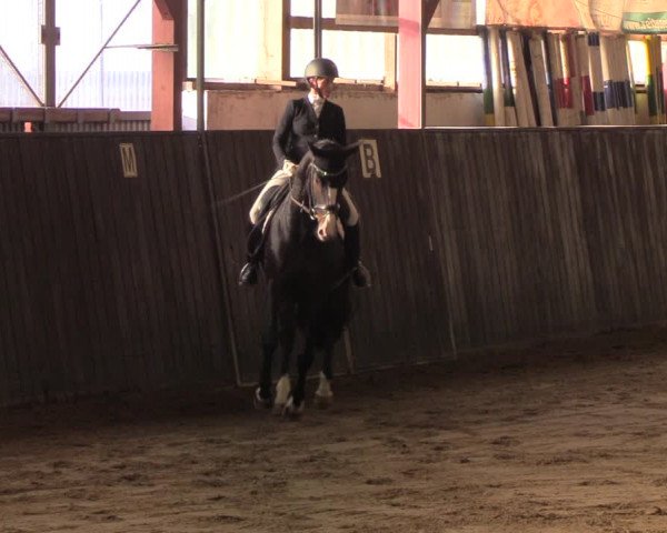 Reitturnier St. Peter Ording 2020