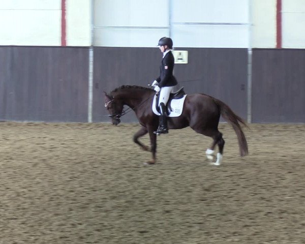Reitturnier St. Peter Ording 2020
