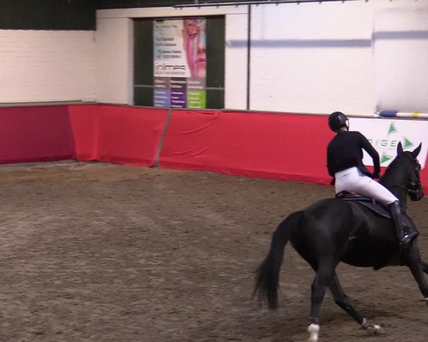 Reitturnier Salzkotten 2020