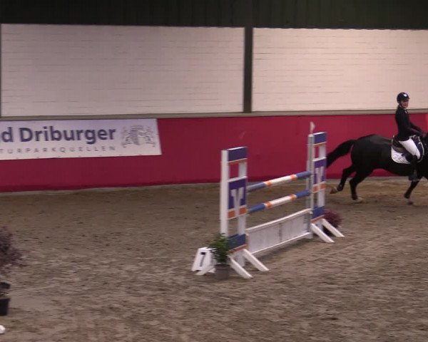 Reitturnier Salzkotten 2020