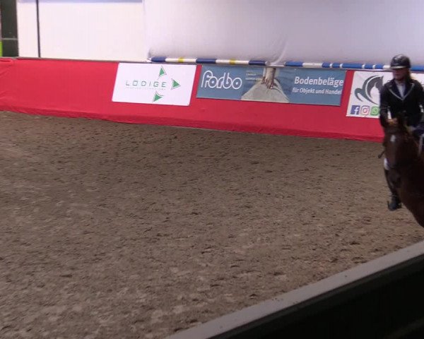 Reitturnier Salzkotten 2020