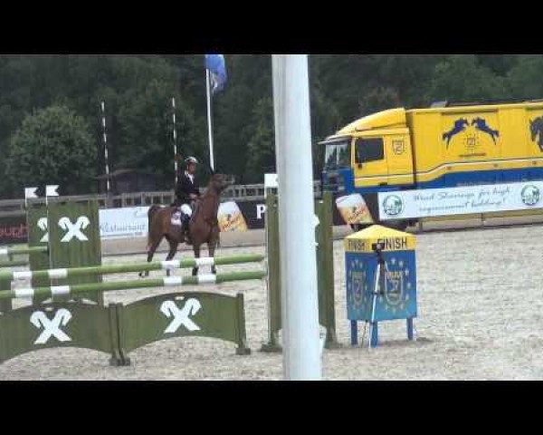 Springpferd Zamira Z (Zangersheide Reitpferd, 2008, von Zirocco Blue)