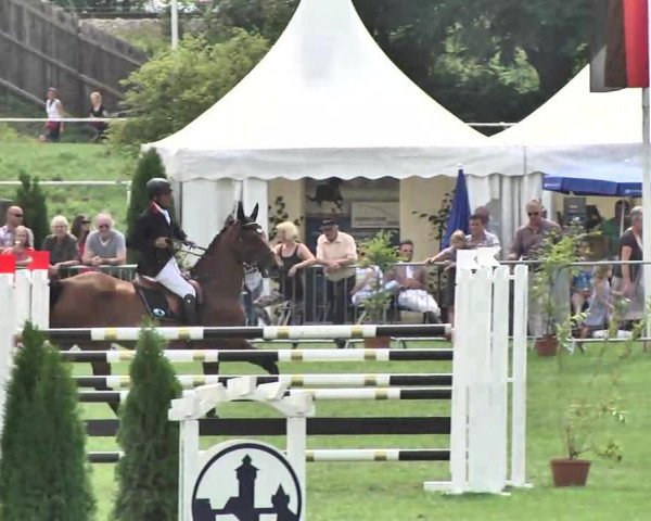 jumper Cornea (Slovenian Warmblood, 2004, from Landherr)