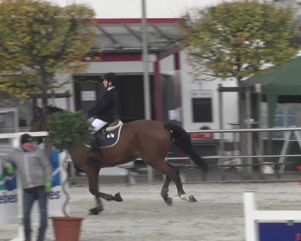 Reitturnier Achern 2020