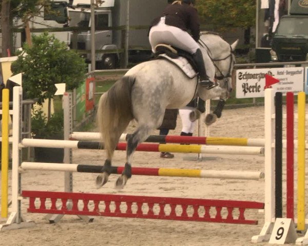Reitturnier Achern 2020