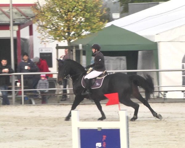 Reitturnier Achern 2020