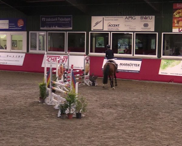Reitturnier Salzkotten 2020
