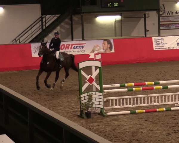Reitturnier Salzkotten 2020