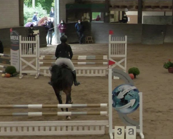 Reitturnier Heilbronn 2020