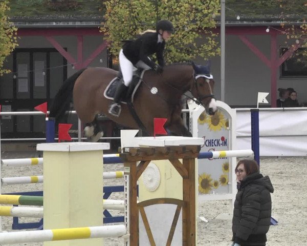 Reitturnier Achern 2020
