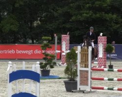 broodmare Cali 4 (Hanoverian, 2007, from Cassus 2)
