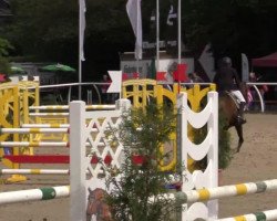 jumper Con-Ella (German Warmblood, 2008, from Coco Maurice)