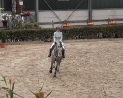 jumper Cari Carissima (Holsteiner, 2009, from Cancara)
