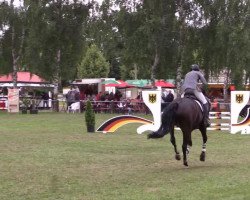broodmare Riviera H (Westphalian, 2006, from Rubin Royal OLD)