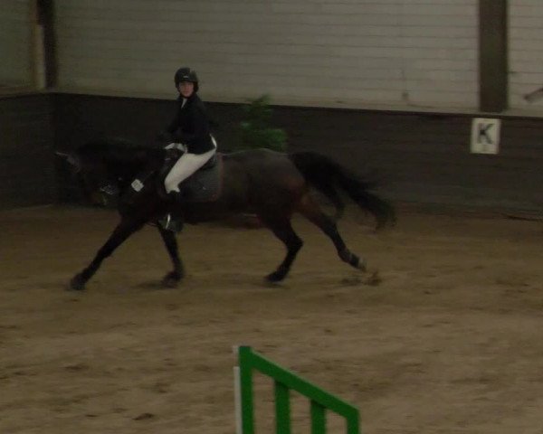 Reitturnier Heilbronn 2020