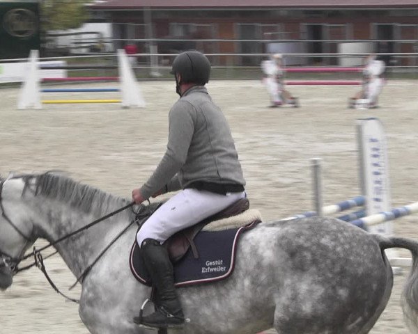 Reitturnier Achern 2020