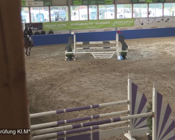Reitturnier Isterberg 2020