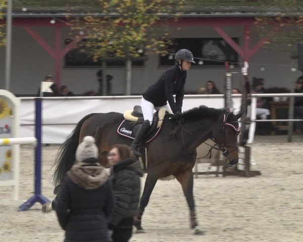 Reitturnier Achern 2020