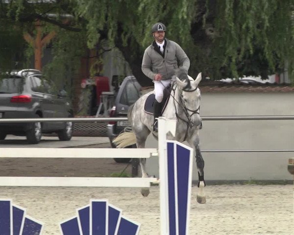 Reitturnier Achern 2020