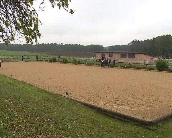 Reitturnier Brünst/Mfr. 2020