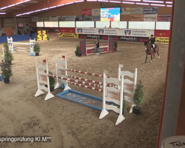 Reitturnier Isterberg 2020