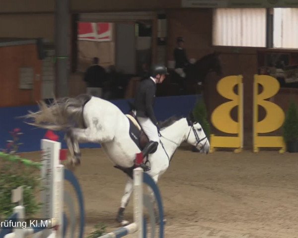 Reitturnier Isterberg 2020