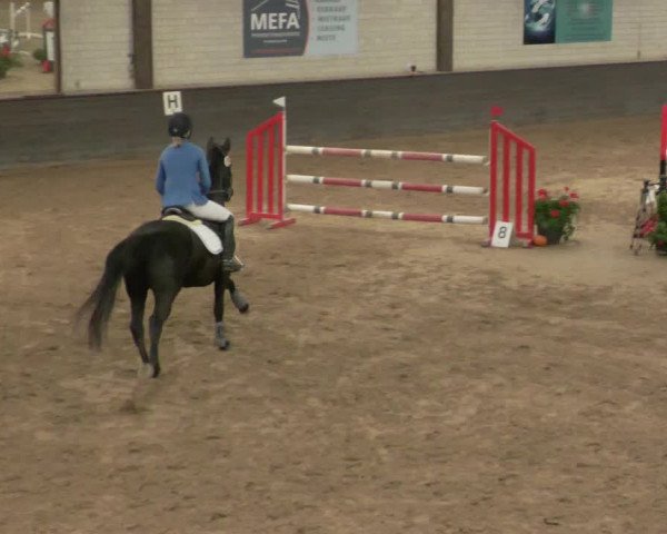 Reitturnier Heilbronn 2020