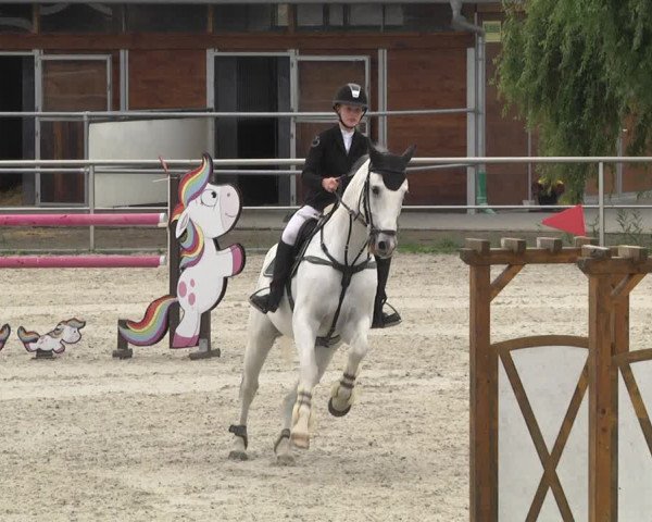 Reitturnier Achern 2020
