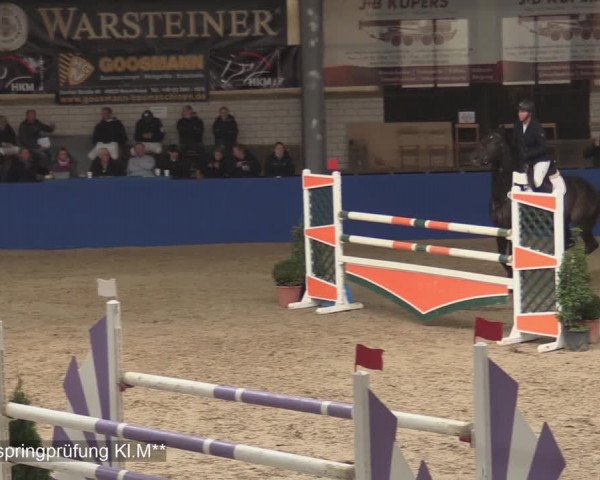 Reitturnier Isterberg 2020