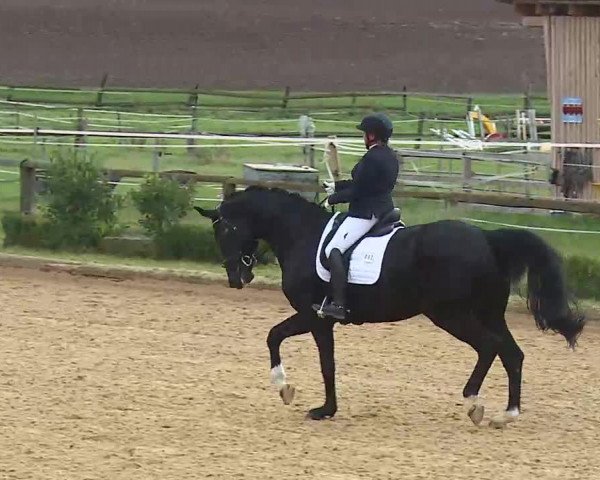 Reitturnier Brünst/Mfr. 2020