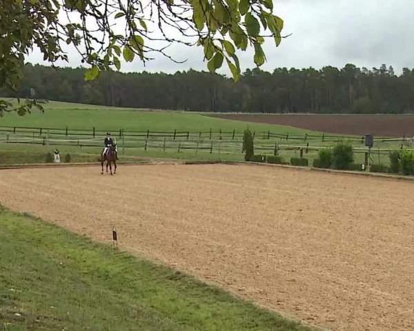 Reitturnier Brünst/Mfr. 2020